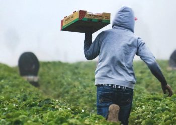 Our Food Systems Need an Overhaul. Here’s How the UN Food Summit Can Help.